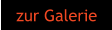 zur Galerie