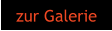 zur Galerie